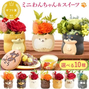 敬老の日 すぐ贈れるギフト 即日発送 誕生日 プレゼント ギフト 退職祝い 卒業祝い 花とお菓子 花 プリザーブドフラワー 犬 フラワーアレンジメント かわいい おしゃれ ペット バラ 薔薇 一輪 アニマル 動物 ミニ 置き物 送料無料 スイーツ お菓子 和菓子 ギフトセット もらって嬉しい センスがいい おしゃれ  3000円 40代 50代 60代 70代
