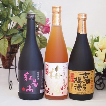梅酒3本セット(古酒仕込み梅酒 紅南高梅酒20度(和歌山) 高千穂産梅使用熟成梅酒) 720ml×3本