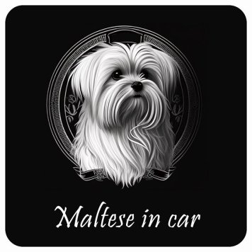 ドッグ カーステッカー イラスト付 Dog in Car マルチーズ Aタイプ セーフティサイン 犬種別 正方形 13x13cm シール リア あおり運転対策 Dog Sticker 屋外 屋内 防水 かわいい おしゃれ 安全対策 カーサイン