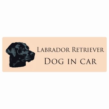 ドッグ カーステッカー イラスト付 Dog in Car ラブラドールレトリバー Aタイプ セーフティサイン 犬種別 長方形 15x5cm シール リア あおり運転対策 Dog Sticker 屋外 屋内 防水 かわいい おしゃれ 安全対策 カーサイン