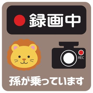 孫が乗っています 録画中 らいおん グレーベージュ サインステッカー シール 車 ステッカー 正方形 13x13cm 防水 屋内 屋外 セーフティサイン 安全対策 車用 安全運転 煽り運転対策 安全対策 かわいい イラスト カーサイン