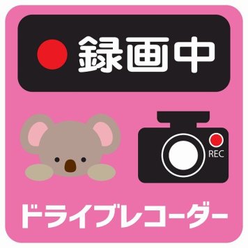 ドラレコ ステッカー シール 録画中 ドライブレコーダー こあら ピンク 13x13cm 正方形 おしゃれ かわいい ドラレコシール 安全対策 危険運転 煽り運転 前後 アニマル 動物 イラスト付 ドライブレコーダー REC  カーサイン