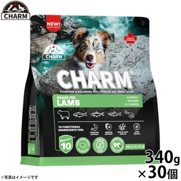 チャーム CHARM グラスフェッドラム ドッグフード グレインフリー 340g×30個