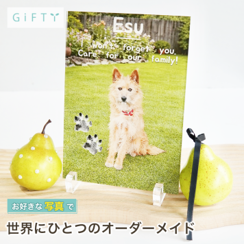 ペット アクリルパネル メモリアル 犬 癒しグッズ 記念日 思い出 うちの子 愛犬家へ 供養 プレゼント 虹の橋 写真の見せ方 オリジナル 高級感 大切な家族へ おしゃれ 上質 写真 デザイン リビングに飾る サプライズ 仏壇代わりに 贈り物 ギフト 愛情表現 ペットのいる暮らし 記念品 名入れ 感謝 愛猫家へ ペットオーナーへ 誕生日 ペットへの想い 癒しのインテリア 写真加工【a50】