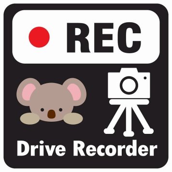 ドラレコ ステッカー シール REC Drive Recorder こあら ブラック 13x13cm 正方形 おしゃれ かわいい ドラレコシール 安全対策 危険運転 煽り運転 前後 アニマル 動物 イラスト付 ドライブレコーダー 録画 カーサイン