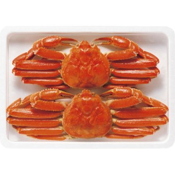 ボイルずわいがに姿 450g×2尾 ZHB452N【直送品】［送料無料］ 