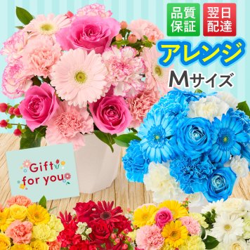 そのまま飾れる アレンジメント Mサイズ クリスマス 退職 入学 送料無料 土日発送OK アレンジ 誕生日プレゼント バラ ギフト フラワー 花束 生花 お祝い フラワーギフト 花 花瓶いらず プレゼント 花 ギフト 50代 60代 70代