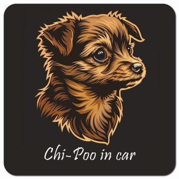イラスト付 Dog in Car チワプー Bタイプ カーサイン 車 マグネットステッカー 犬 マグネット 強力 13x13cm 正方形 おしゃれ かわいい ドラレコステッカー 安全対策 危険運転 煽り運転 アニマル 動物 犬種別 屋外 防水 屋内