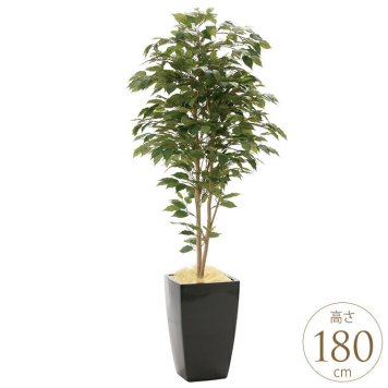 フェイクグリーン 鉢植え 大きい 観葉植物 鉢 アーバンスタイル ベンジャミン 1.8m 光触媒 インテリアグリーン 大型 オフィス