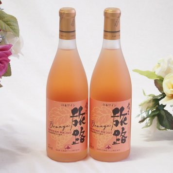 2本セット(北海道ワイン オレンジワイン 旅路 やや辛口) 720ml×2本