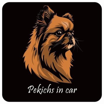 ドッグ カーステッカー イラスト付 Dog in Car ペキックス Aタイプ セーフティサイン 犬種別 正方形 13x13cm シール リア あおり運転対策 Dog Sticker 屋外 屋内 防水 かわいい おしゃれ 安全対策 カーサイン