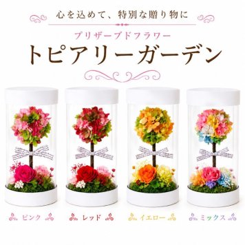 トピアリーガーデン ／プリザーブドフラワー 母の日 花 ギフト プレゼント 女性 誕生日 ボックスフラワー おしゃれ インテリア バラ ケース入り 軽量 割れない 透明 シリンダー 箱庭 御祝い 記念日 出産祝い 退職祝い 可愛い　開業 入学 卒業 引越し祝 結婚祝い