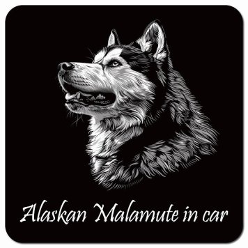 イラスト付 Dog in Car アラスカンマラミュート Aタイプ カーサイン 車 マグネットステッカー 犬 マグネット 強力 13x13cm 正方形 おしゃれ かわいい ドラレコステッカー 安全対策 危険運転 煽り運転 アニマル 動物 犬種別 屋外 防水 屋内