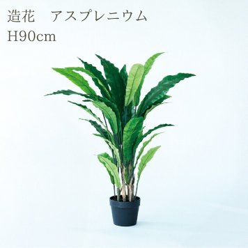 観葉植物 造花 アスプレニウム BROWN 全高約90cm 中型 フェイクグリーン 本物そっくり おしゃれ インテリア 人工観葉植物 アーティフィシャルグリーン オフィス 店舗 ホテル 開店祝い 室内 タニワタリ シダ フェイク