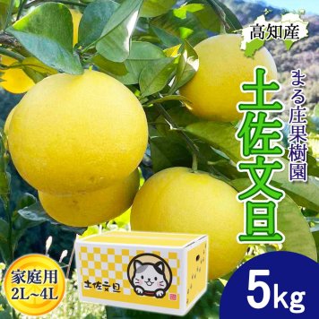 土佐文旦 野囲い 文旦 大玉 2L～4L 5kg 家庭用 土佐市 まる庄果樹園 産直 山間部栽培 ぶんたん 産地直送 高知産 ジューシー まろやか 高知 ブンタン 農家直送 ネコちゃん箱入り 届いてすぐに食べれる追熟文旦【送料無料】