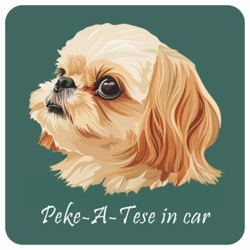 ドッグ カーステッカー イラスト付 Dog in Car マルペキ Bタイプ セーフティサイン 犬種別 正方形 13x13cm シール リア あおり運転対策 Dog Sticker 屋外 屋内 防水 かわいい おしゃれ 安全対策 カーサイン