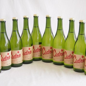 10本セット(長野県産りんご スペイン風シードル ストロングサワー 辛口) 750ml×10本
