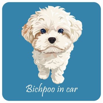 ドッグ カーステッカー イラスト付 Dog in Car ビションプー Aタイプ セーフティサイン 犬種別 正方形 13x13cm シール リア あおり運転対策 Dog Sticker 屋外 屋内 防水 かわいい おしゃれ 安全対策 カーサイン