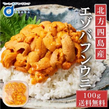 ウニ 塩水  塩水うに 100g 北方四島産 冷蔵配送 バフン 生ウニ 雲丹 北海道 グルメ 場外市場 塩水ウニ uni 寿司 贈り物 お取り寄せ 母の日 ギフト プレゼント 人気 【冷凍】【生鮮】