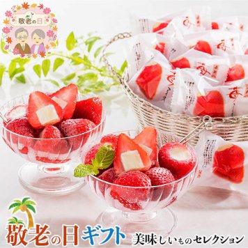 敬老の日 ギフト 敬老祝 春摘み 苺 アイスクリーム ｜約20g×20｜敬老の日メッセージ付【お届け期間：9月19日～9月21日】 遅めの お中元 ※沖縄・北海道は配送不可