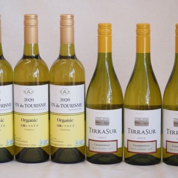 ALLシャルドネチリワイン6本セット(テラスル ヴァン・ドゥ・ツーリズム(有機シャルドネ)) 750ml×6本