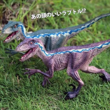 恐竜 おもちゃ ヴェラキラプトル ブルー インドラプトル フィギュア ジュラシックワールド ダイナソー リアルなモデル 本格的なフィギュア 誕生日