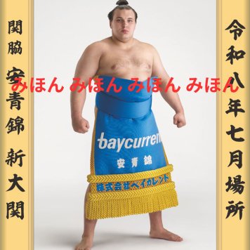 安青錦 新大 関　優勝ミニ額 大相撲ミニ額 大相撲優勝額　令和８（２０２６）年７月場所 優勝 関脇 安青錦 関（３回目）優勝記念品 相撲グッズ 力士グッズ 相撲取りグッズ 国技館 限定品 記念品 コレクション 写真 R0807