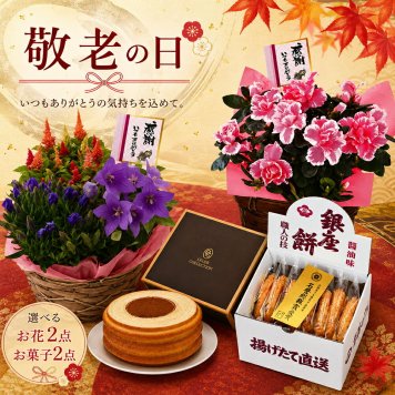 敬老の日2026 数量限定 選べるお花1点＆選べるお菓子1点セット kr6-0002-01020304 お誕生日 感の気持ちをカタチに  秋にぴったりな花かごと銀座餅、セレブコレクションバームクーヘンのどちらか選べるお菓子のセット