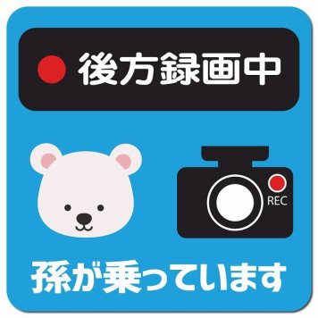 孫が乗っています 後方録画中 しろくま ライトブルー カーサイン 車 マグネットステッカー マグネット 強力 13x13cm 正方形 防水 屋内 屋外 セーフティサイン 安全運転 車内用 煽り運転対策 安全対策 カーサイン イラスト かわいい