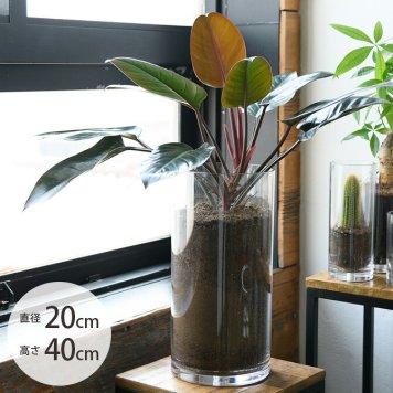 FOYER ホワイエ PVシリンダー 直径20cm×高さ40cm