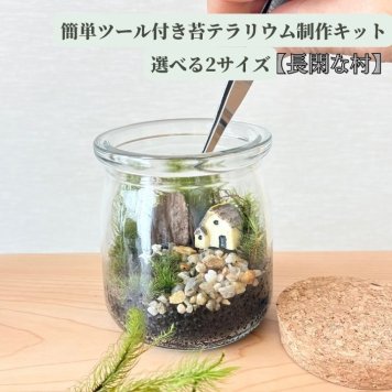 ミニミニ苔テラリウムキット 【長閑な村】 ワークショップ 手作り キット 合わせて苔テラリウム お誕生日 プレゼント ワークショップ ホソバオキナゴケ タマゴケ 初心者 苔リウム 観葉植物 園芸 インテリア モス