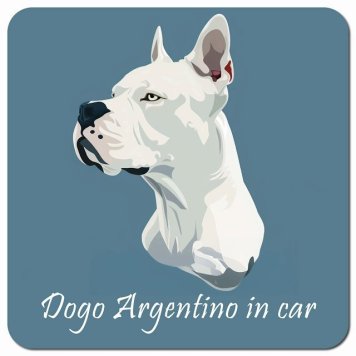 イラスト付 Dog in Car ドゴアルヘンティーノ Bタイプ カーサイン 車 マグネットステッカー 犬 マグネット 強力 13x13cm 正方形 おしゃれ かわいい ドラレコステッカー 安全対策 危険運転 煽り運転 アニマル 動物 犬種別 屋外 防水 屋内