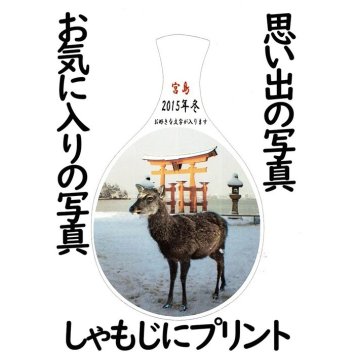 しゃもじに写真のプリントが出来ます ご家族の記念の写真 かわいいペットの写真 ご旅行の思い出写真 各種イベントの写真が作れます写絵  UTSUSHIE 宮島しゃもじ キッチン 名入れ【送料無料】