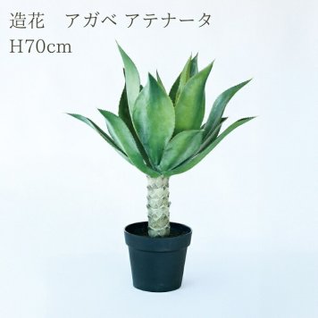 観葉植物 造花 アガベ アテナータ BROWN 全高約70cm 卓上・小型 フェイクグリーン 本物そっくり おしゃれ インテリア 人工観葉植物 アーティフィシャルグリーン オフィス 店舗 ホテル 開店祝い 室内 ミニ 多肉植物 フェイク