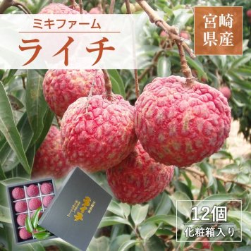 ライチ【ミキファーム】国産 生ライチ 450g 特選 大粒 12個 贈答用 御中元 宮崎県高鍋町 《7/上旬～7/下旬の出荷》 フルーツ 送料無料【一部地域を除く】