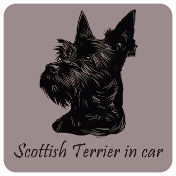 ドッグ カーステッカー イラスト付 Dog in Car スコティッシュテリア Aタイプ セーフティサイン 犬種別 正方形 13x13cm シール リア あおり運転対策 Dog Sticker 屋外 屋内 防水 かわいい おしゃれ 安全対策 カーサイン