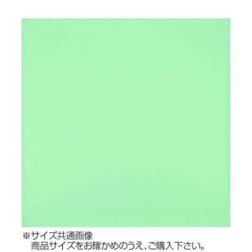東レ トレシー カラークロス セージ 30×30cm クリーニングクロス メガネ拭き スマホクリーナー タブレット 液晶画面 パソコン 貴金属 時計 レンズ 指紋拭き 超極細繊維 日本製 おしゃれ ギフト プレゼント