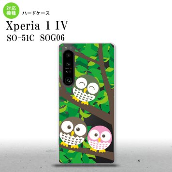 SO-51C SOG06 XPERIA 1 IV Xperia 1 IV スマホケース 背面ケース ハードケース フクロウ A 緑 メンズ レディース nk-xp14-1092