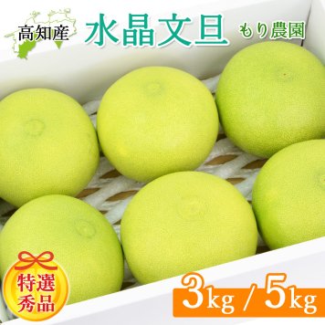 特選秀品 水晶文旦 3kg 5kg 大玉 高知県 土佐市産 生産者直送 贈答 Sランク 高知産 ハウス栽培 温室栽培 秋文旦 早生ぶんたん 秋の味覚 最高級ギフト 化粧箱入り 産地直送 高級フルーツ 柑橘 果物 【送料無料】