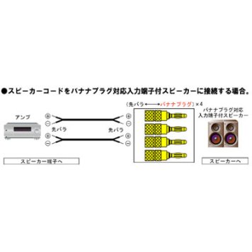 ビクター バナナプラグアダプター AP-SC100