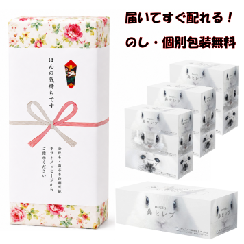 【送料込】粗品 引っ越し挨拶 10箱セット ネピア 鼻セレブ ティッシュ 200組 400枚 個包装 のし対応 景品 ノベルティ 記念品 御挨拶 御礼 内祝 記念品 大量注文OK あす楽 保湿 ティッシュペーパー 詰め合わせ 新築 地鎮祭 ギフト 喜箱 kibaco
