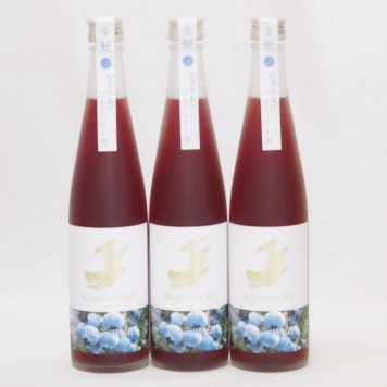 3本セット(金鯱焼酎ブレンド 知多半島のブルーベリー酒(愛知県)) 500ml×3本