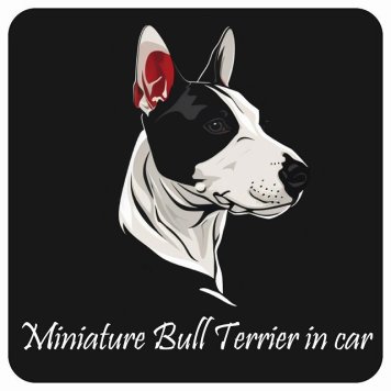 ドッグ カーステッカー イラスト付 Dog in Car ミニチュアブルテリア Bタイプ セーフティサイン 犬種別 正方形 13x13cm シール リア あおり運転対策 Dog Sticker 屋外 屋内 防水 かわいい おしゃれ 安全対策 カーサイン