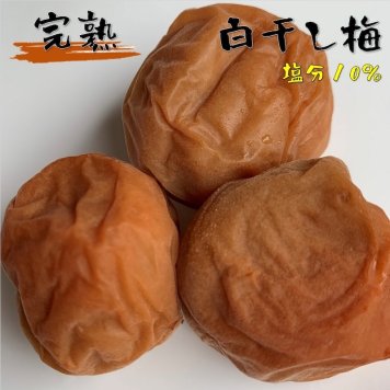 梅干し 白干梅 塩分10% 福井梅 紅映 無添加 すっぱい梅干し 完熟梅 内容量 120g ラッピング 食品