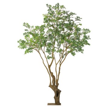 人工観葉植物　大型トネリコ3ｍ　　送料込み　　アスカ商会アイテム