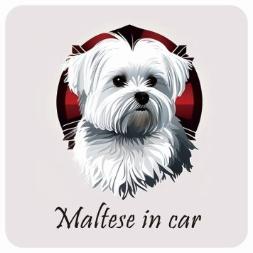 ドッグ カーステッカー イラスト付 Dog in Car マルチーズ B タイプ セーフティサイン 犬種別 正方形 13x13cm シール リア あおり運転対策 Dog Sticker 屋外 屋内 防水 かわいい おしゃれ 安全対策 カーサイン