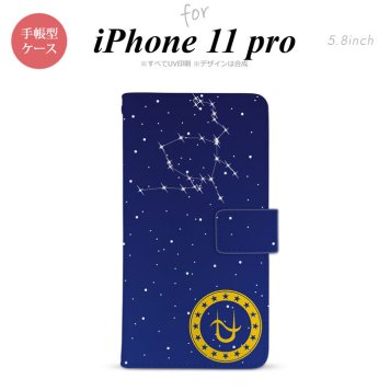 iPhone11Pro iPhone11 Pro 手帳型スマホケース カバー 星座 ヘビ遣い座  nk-004s-i11p-dr849