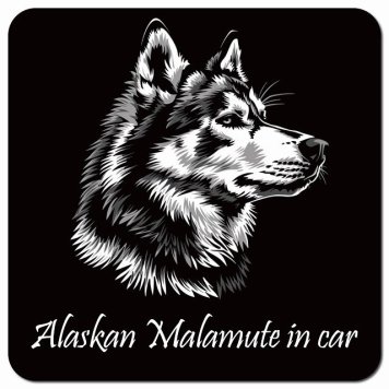 イラスト付 Dog in Car アラスカンマラミュート Bタイプ カーサイン 車 マグネットステッカー 犬 マグネット 強力 13x13cm 正方形 おしゃれ かわいい ドラレコステッカー 安全対策 危険運転 煽り運転 アニマル 動物 犬種別 屋外 防水 屋内