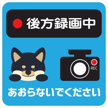 ドラレコ ステッカー シール 後方録画中 あおらないでください 黒柴 ブルー 13x13cm 正方形 おしゃれ かわいい ドラレコシール 安全対策 危険運転 煽り運転 前後 アニマル 動物 イラスト付 ドライブレコーダー REC  カーサイン