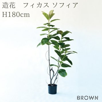 観葉植物 造花 フィカス ソフィア BROWN 全高約180cm 大型 フェイクグリーン 高級 本物そっくり リアル おしゃれ ナチュラル インテリア 人工観葉植物 アーティフィシャルグリーン オフィス 店舗 ホテル 開店祝い 室内 リビング 玄関 風水 ゴムの木